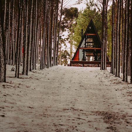 Cabana Alameda Orange Камбара Экстерьер фото